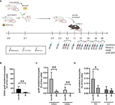 Impact of Graft-Resident Leucocytes on Treg Mediated Skin Graft Survival